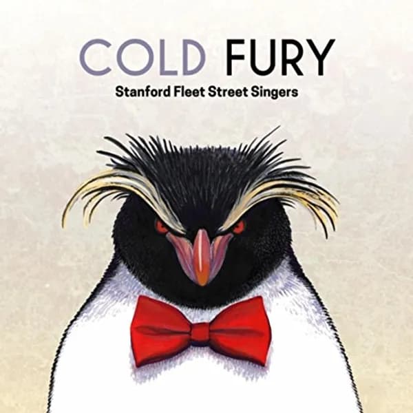 Cold Fury album cover